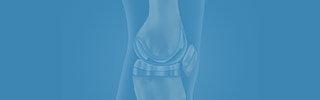 Partial Knee